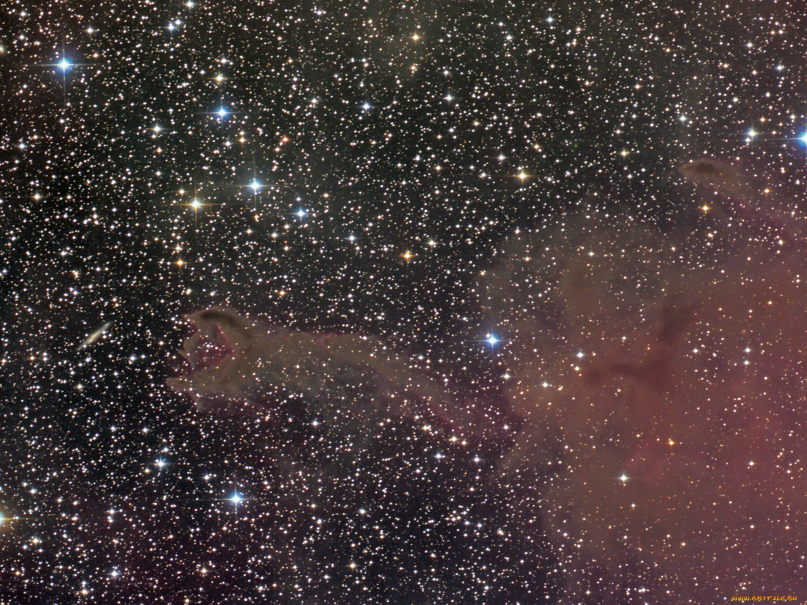cg4, , , 